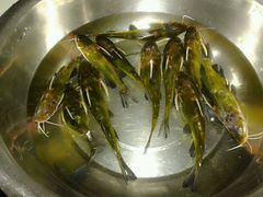 android_upload_pic-花鲢鱼头火锅(春城东路店)