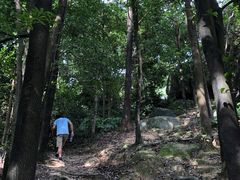 -火炉山森林公园