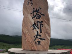 -草原天路(张北县)