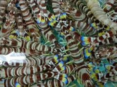 海胆和斑节虾和鱼真不错-格力东澳大酒店-蓝色海岸餐厅