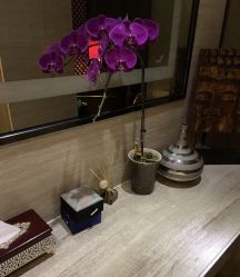 -诗泥SPA
