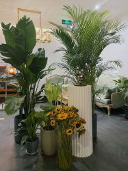 -芳香乐府疗愈空间·SPA·冥想