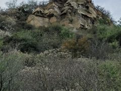 -北京西山国家森林公园