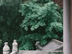 -黔明古寺