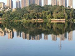 -重庆彩云湖湿地公园