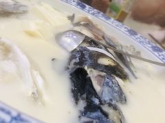 -全乐鱼馆·淳牌有机鱼直营店