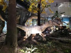 -湖南省地质博物馆