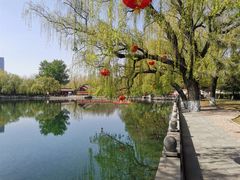 -百脉泉景区