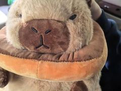 -弈海围棋学堂(夕照寺校区)