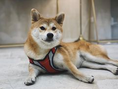 -SPARROW 家雀儿咖啡本店