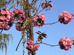 -洨河生态公园