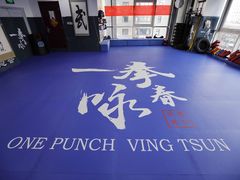 -咏春拳学总会·一拳咏春(双井店)