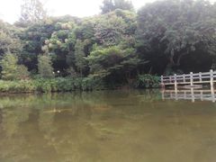 -云溪植物园