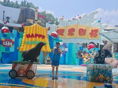 -海合安成都极地海洋公园