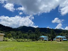 -海南热带雨林国家公园吊罗山景区