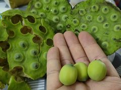 -百佳华佳漾里(坂田店)