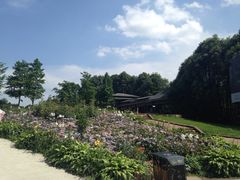 -保利石象湖景区