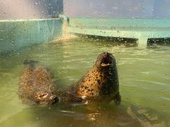 -太平洋海底世界