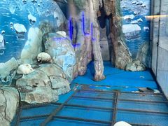 -泉城欧乐堡海洋极地世界