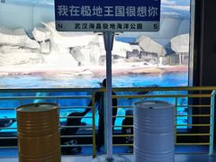 -海合安武汉极地海洋公园