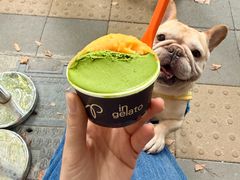 -Dip in Gelato(富民路店)