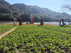 -广州市石门国家森林公园