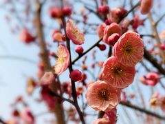 -蜀冈西峰生态公园