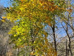 -玉渡山自然风景区