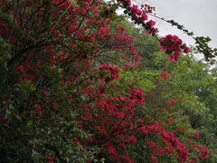 -丰都鬼城名山景区