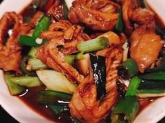 -三酉星·枫·山風与野菜(上海总店)