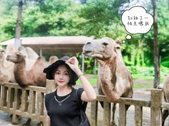 -贵州森林野生动物园