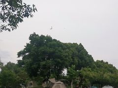 -世纪缘湖滨花园酒店·湖景轩中餐厅(太阳宫店)