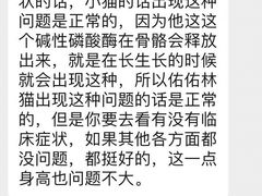 -佳怡动物医院·平价24小时·猫专科骨外科