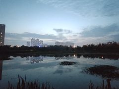 -前关湿地公园