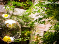 -Timo队长·高端生日派对策划机构(静安寺店)