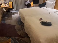 -苏州金鸡湖文博诺富特酒店