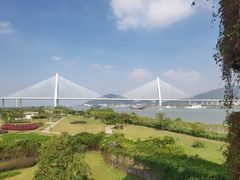 -芒洲湿地公园
