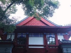 -四川大学(望江校区)
