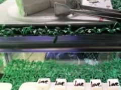 -格瑞欧海鲜自助烤肉火锅(光彩店)