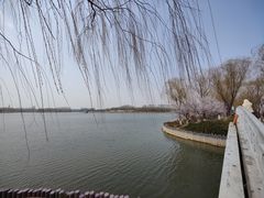 -大兴滨河森林公园