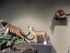 -天津自然博物馆