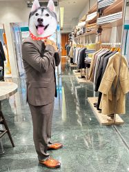 -Biella Fibers杰尼亚Zegna面料西装·夹克·礼服全定制Bespoke(晶耀前滩店)