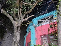 -秀·爱尔兰餐吧(上海路店)