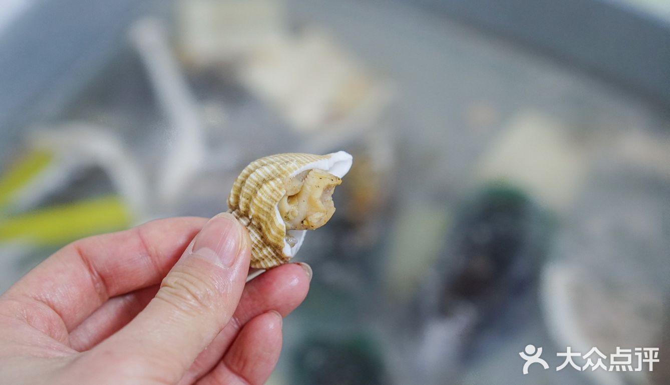 ㊙️餐厅级蘸汁の宅家自嗨来顿海鲜牛羊涮锅✔️