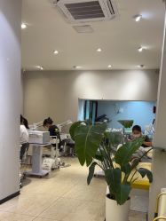 -洗脸猫·洗脸吧