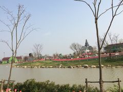iphone_upload_pic-荷兰花海