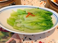 白灼生菜-点都德(广州白云山景区南门店)