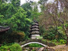 -深圳国际园林花卉博览园