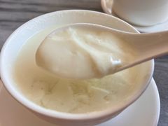 -沙湾姜撞奶甜品店(昌岗中路店)