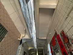 -罗家杏传统特色海南粉(人民西路总店)